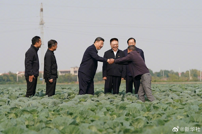 ϰ��ƽ��徲��й�ʽ�ִ���������������������������ƽ���������