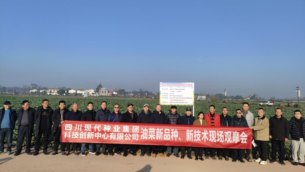 6773c9533466b.png 科创中心团结多家单位举行油菜新品种、新手艺观摩会2.png