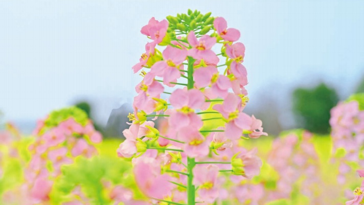 �����1��