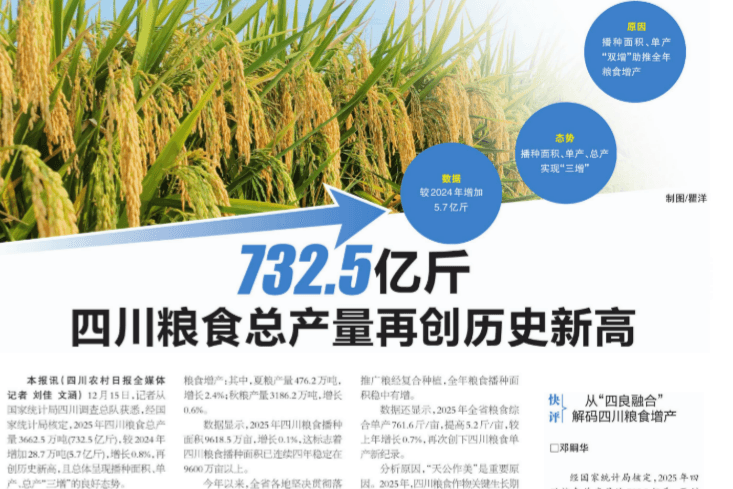 732.5 �ڽ���츮���֡� ���������󣬣��������Ĵ���ҵ����������������